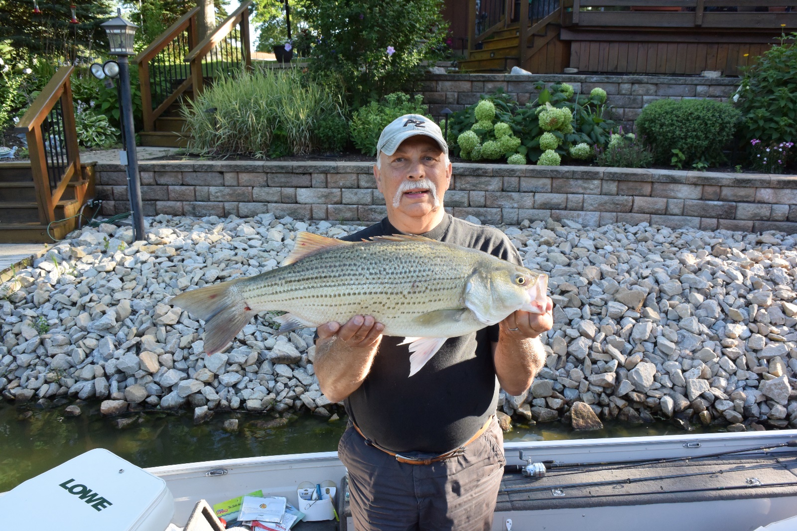 Hybrid Striper