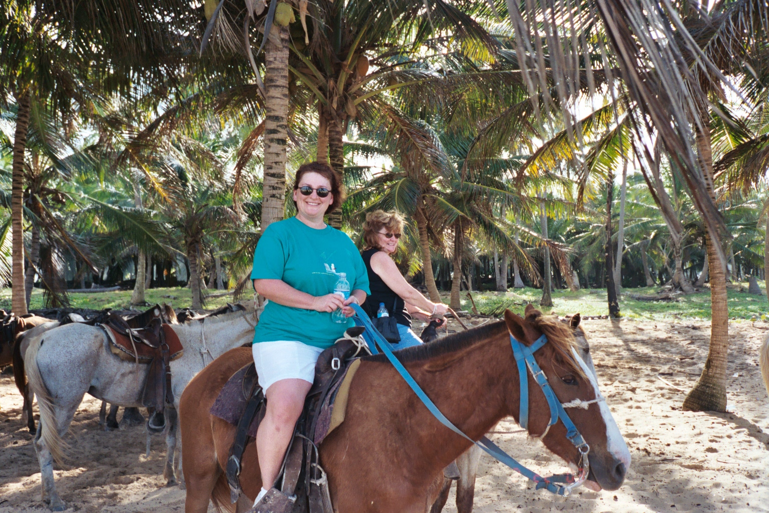 Dominican Republic Secrets 2003