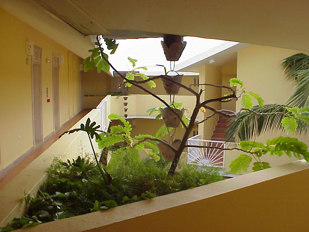 Dominican Republic Secrets 2003