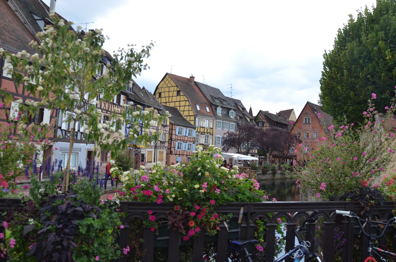 Breisach & Black Forest Germany