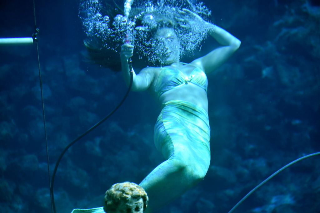 Weeki Wachee Springs State Park