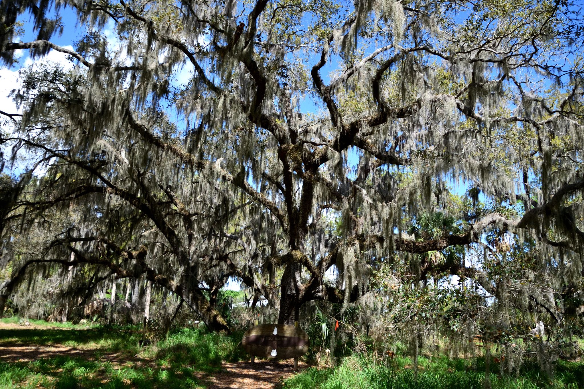 Circle Bar B Reserve - Lakeland Florida