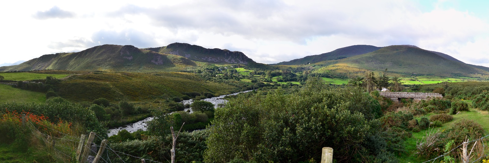 Killarney Countryside