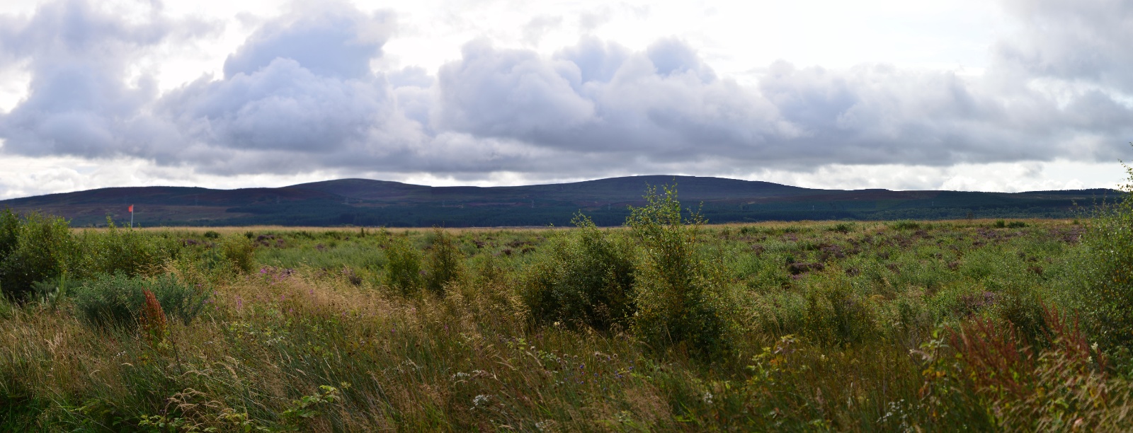 Culloden Battlefield