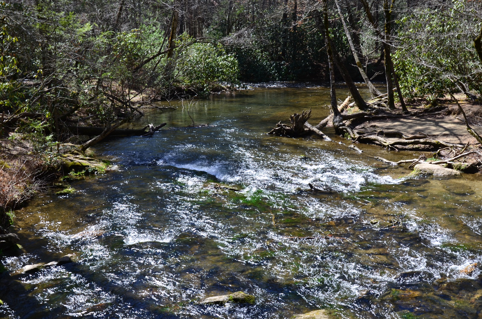 Smokey Mountains National Park, TN